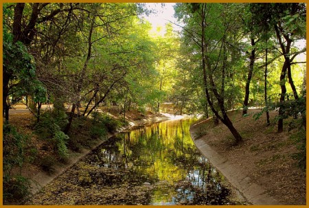 Városi - természet